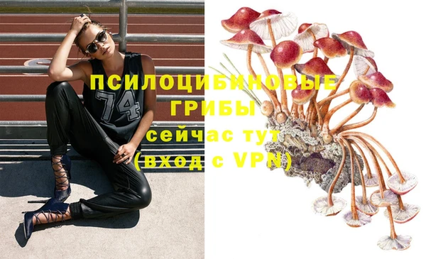 первитин Алексеевка