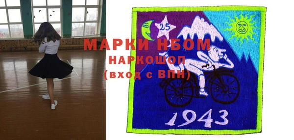 шишки Алзамай